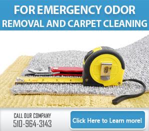 Our Services - Carpet Cleaning Albany, CA