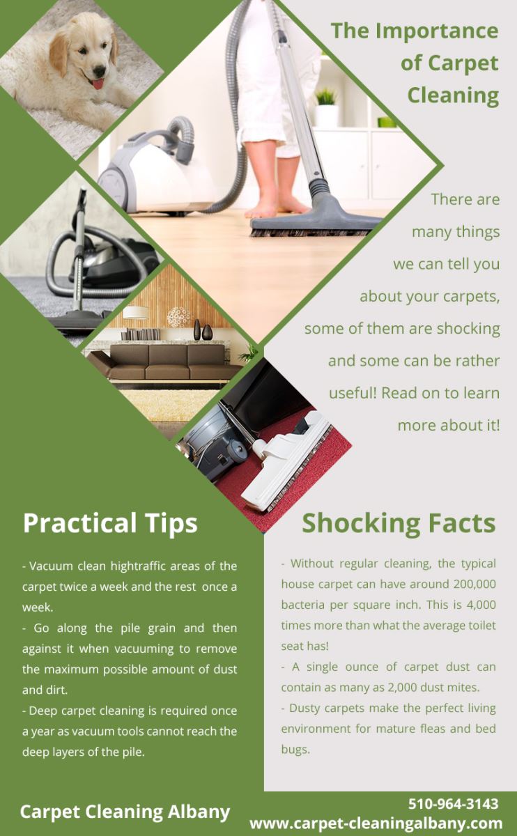 Carpet Cleaning Albany Infographic